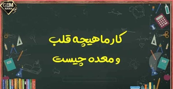 عکس ماهیچه قلب و معده