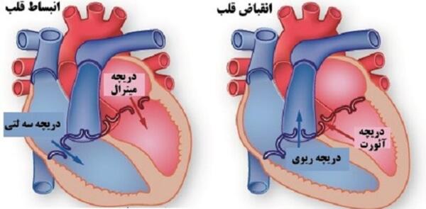 عکس دریچه قلب مصنوعی