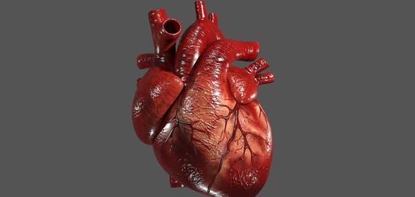 عکس دریچه قلب مصنوعی