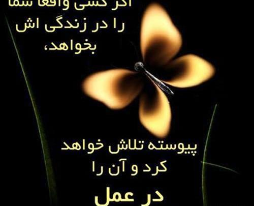 عکس پروفایل قلب یخی