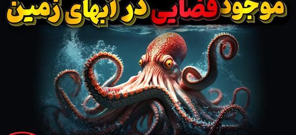 عکس قلب های هشت پا