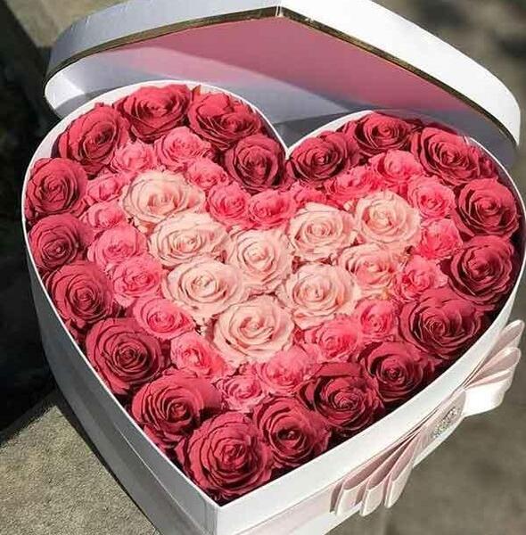 عکس قلب و گل برای پروفایل