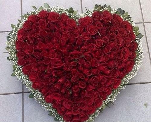 عکس قلب و گل برای پروفایل