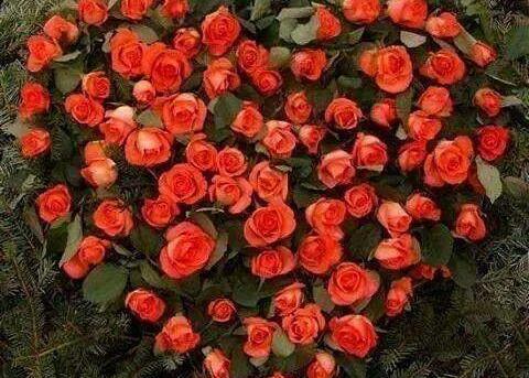 عکس قلب و گل برای پروفایل