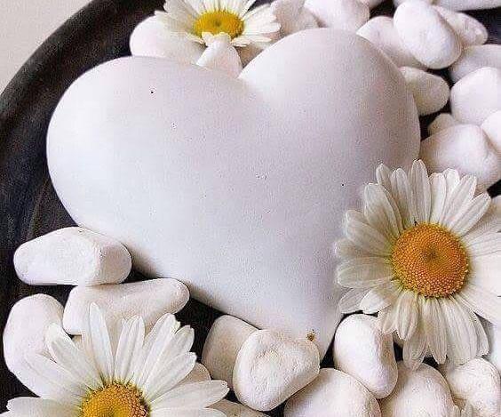 عکس قلب و گل پروفایل