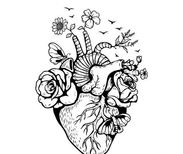 عکس قلب واقعی نقاشی
