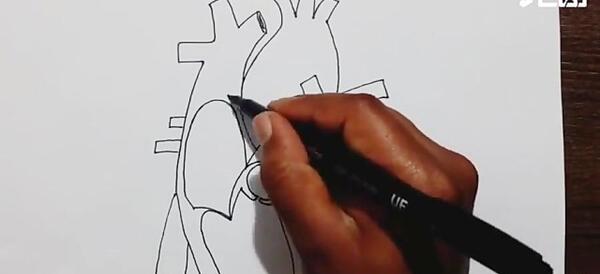 عکس قلب واقعی نقاشی