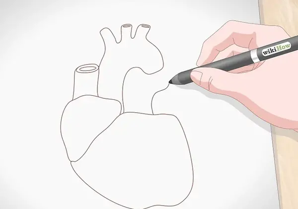 عکس قلب واقعی نقاشی