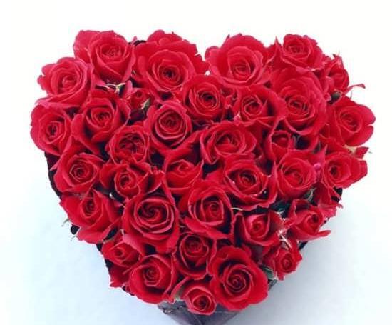 عکس قلب گلدار