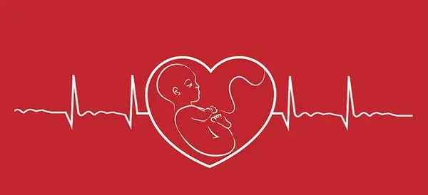 عکس ضربان قلب لاتی