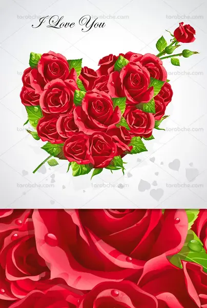 عکس قلب و گل رز قرمز