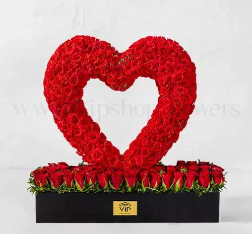 عکس قلب و گل رز قرمز