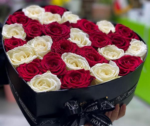 عکس قلب و گل رز قرمز