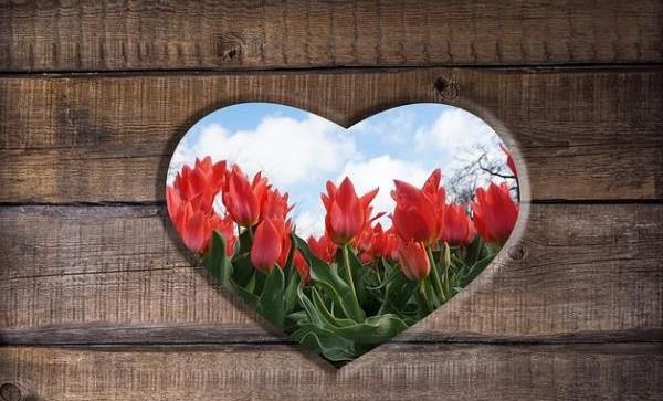 عکس پروفایل قلب و گل رز
