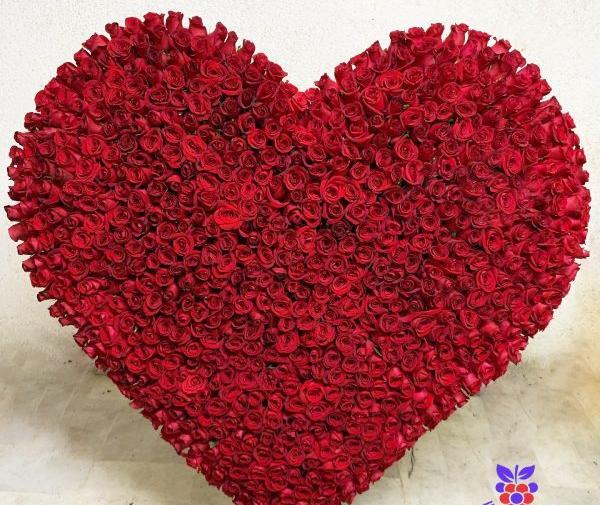 عکس یک قلب بزرگ قرمز