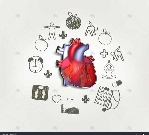 عکس قلب سالم برای نقاشی