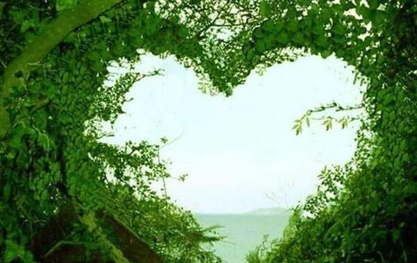 عکس های قلب در طبیعت