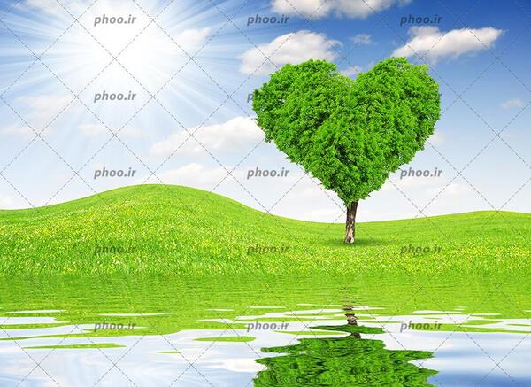 عکس های قلب در طبیعت