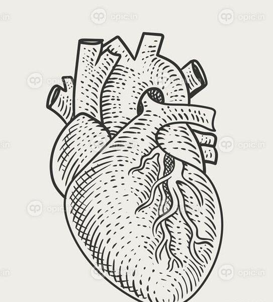عکس از طراحی قلب