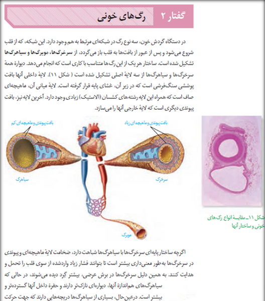 عکس ضربان قلب زیست دهم