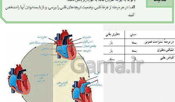 عکس ضربان قلب زیست دهم