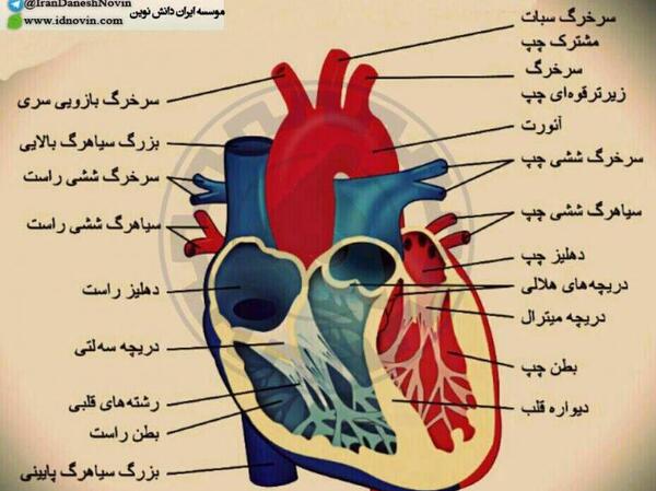 عکس های قلب آتشین