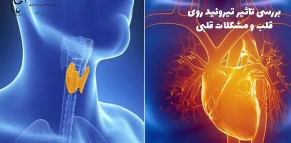 عکس جای قلب در بدن انسان