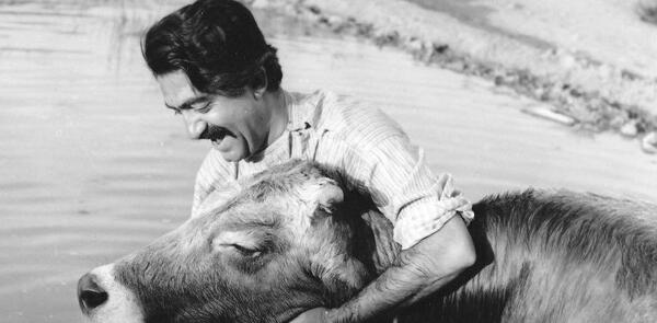عکس یک فیلم سینمایی