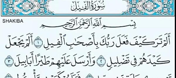 عکس نقاشی سوره ی فیل