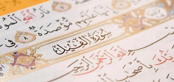 عکس نقاشی سوره ی فیل