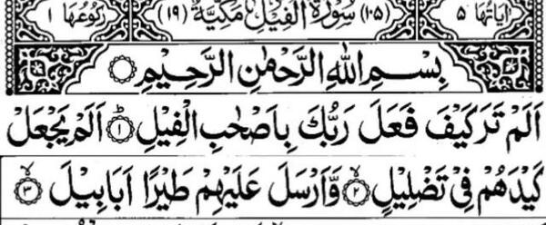 عکس نقاشی سوره ی فیل