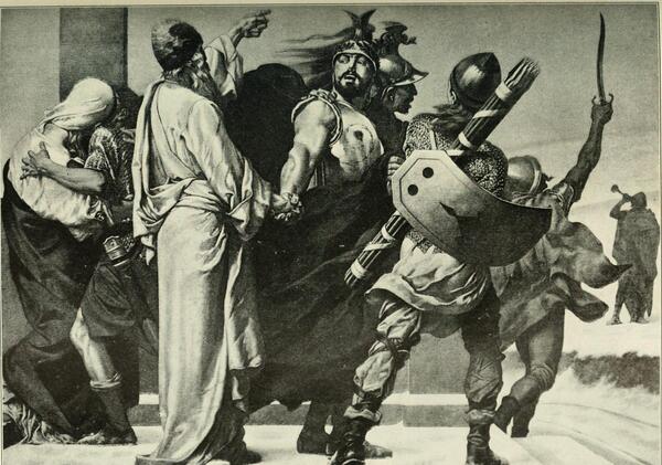 عکس پادشاه فیل