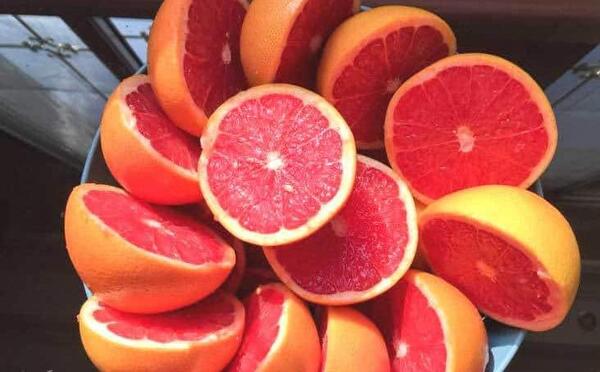 عکس گریپ فروت میوه