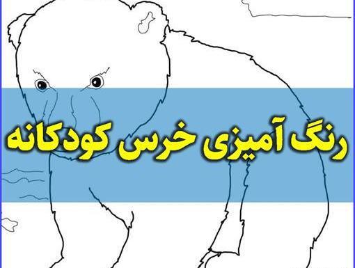 عکس فانتزی خرس قهوه ای
