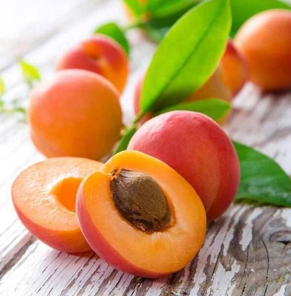 عکس فانتزی زردآلو