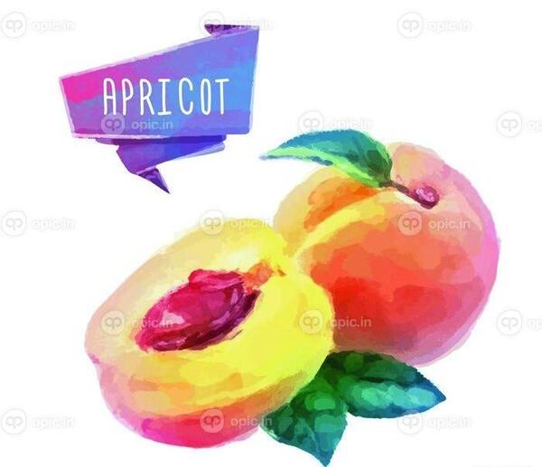 عکس فانتزی زردآلو