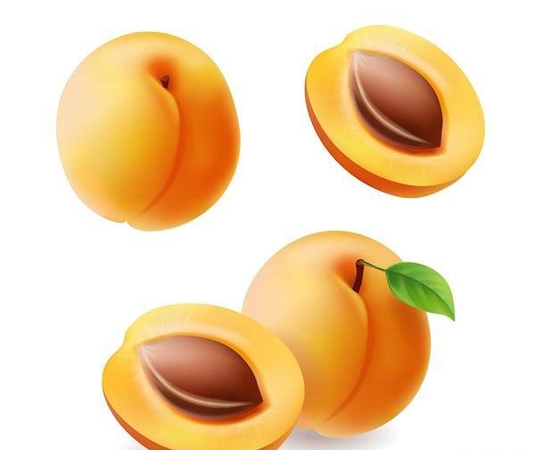 عکس فانتزی زردآلو
