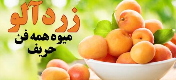 عکس فانتزی زردآلو