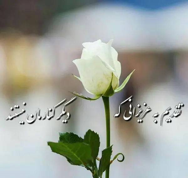 عکس استوری فاتحه برای اموات