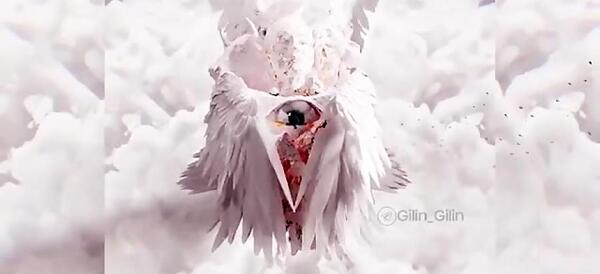 عکس فرشته ی نگهبان