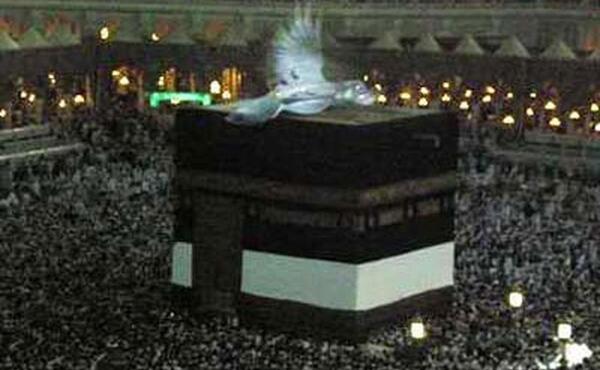 عکس فرشته ی جبرئیل