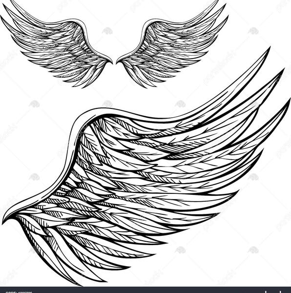 عکس بال فرشته سیاه و سفید