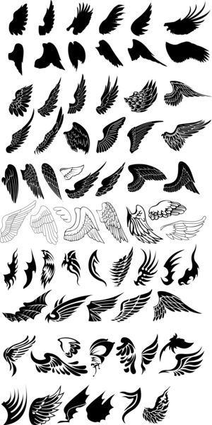عکس فرشته با بال سیاه