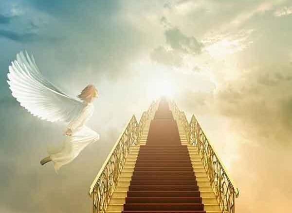 عکس فرشته های بهشت