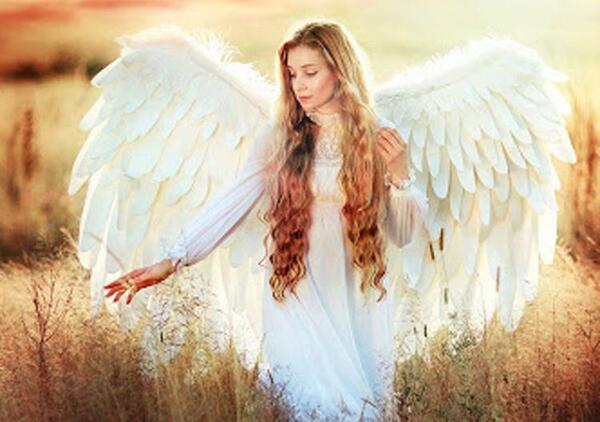 عکس فرشته بچه ها