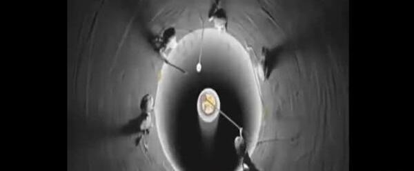 عکس فرشته ی جهنم