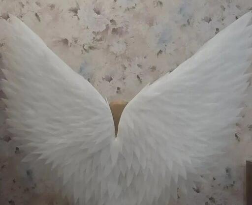 عکس پرنده فرشته