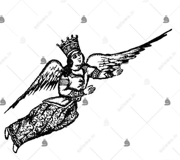 عکس پرنده فرشته