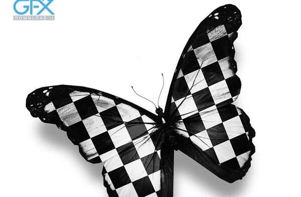 عکس پروانه فانتزی مشکی