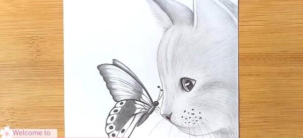 عکس گربه فانتزی واقعی